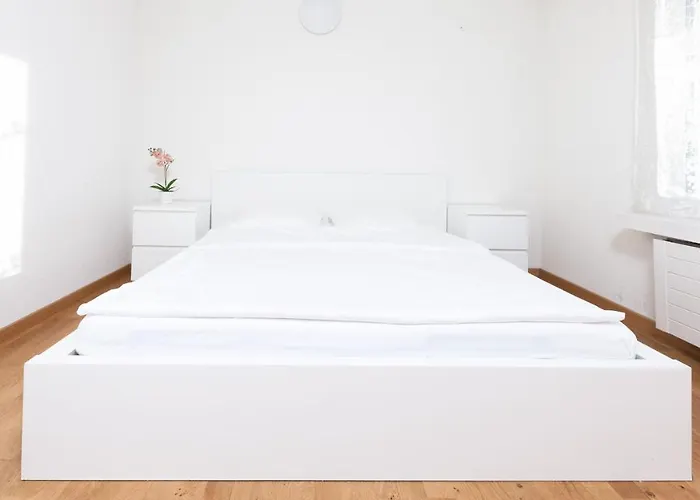 Swiss Star - Contactless Self Check-in