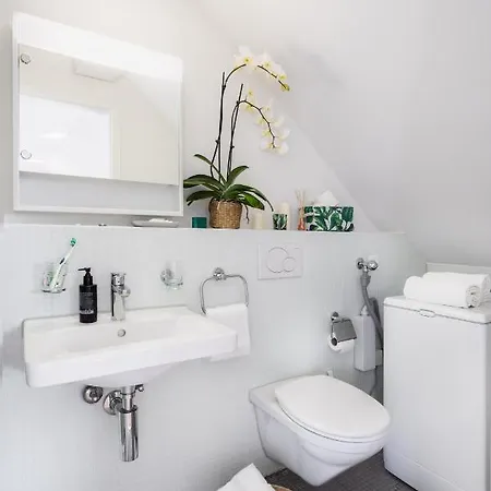 Swiss Star - Contactless Self Check-in * 취리히