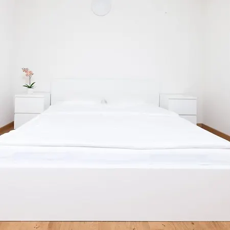 Swiss Star - Contactless Self Check-in