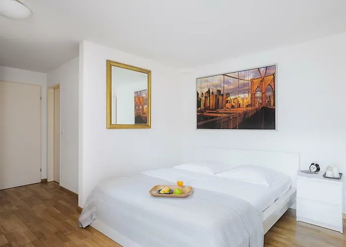 Swiss Star - Contactless Self Check-in *