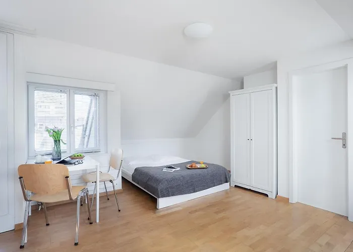 Swiss Star - Contactless Self Check-in Apartment