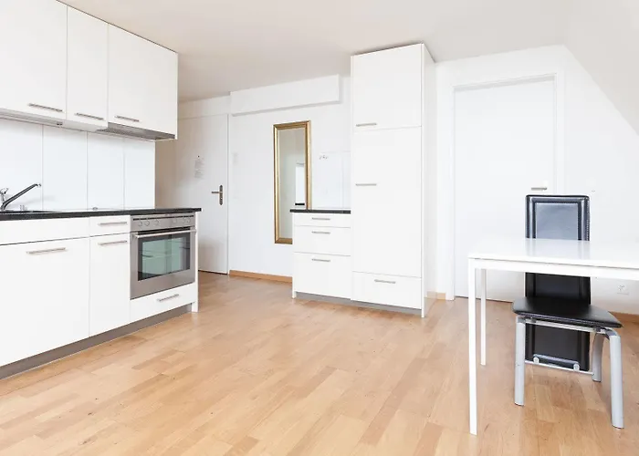 Swiss Star - Contactless Self Check-in Apartment *