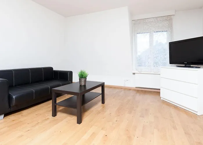 Swiss Star - Contactless Self Check-in Apartment