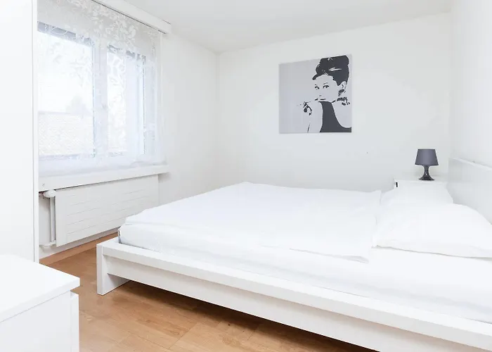 Swiss Star - Contactless Self Check-in Apartment