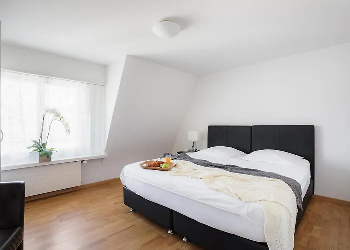 Apartment Swiss Star - Contactless Self Check-in